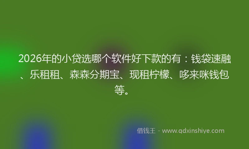 2026年的小贷选哪个软件好下款的有：钱袋速融、乐租租、森森分期宝、现租柠檬、哆来咪钱包等。