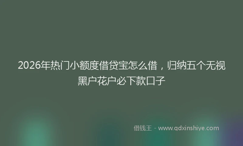 2026年热门小额度借贷宝怎么借，归纳五个无视黑户花户必下款口子