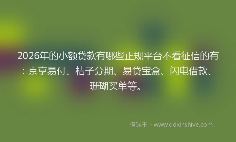 2026年的小额贷款有哪些正规平台不看征信的有:京享易付、桔子分期、易贷宝盒、闪电借款、珊瑚买单等。