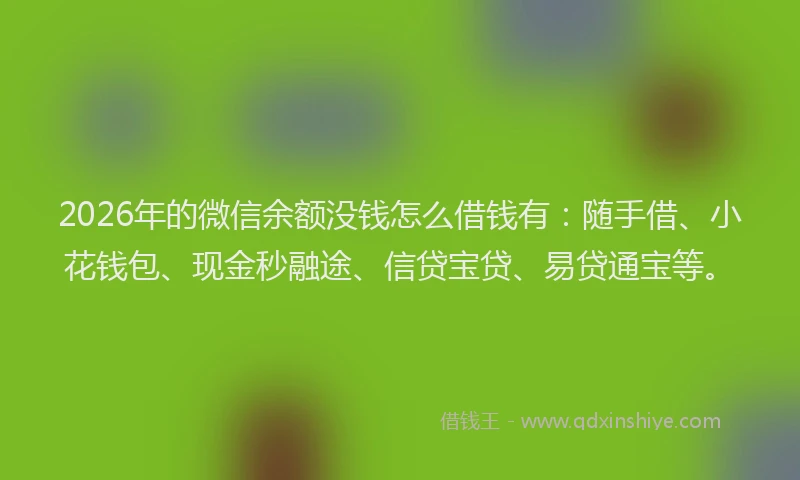 2026年的微信余额没钱怎么借钱有：随手借、小花钱包、现金秒融途、信贷宝贷、易贷通宝等。