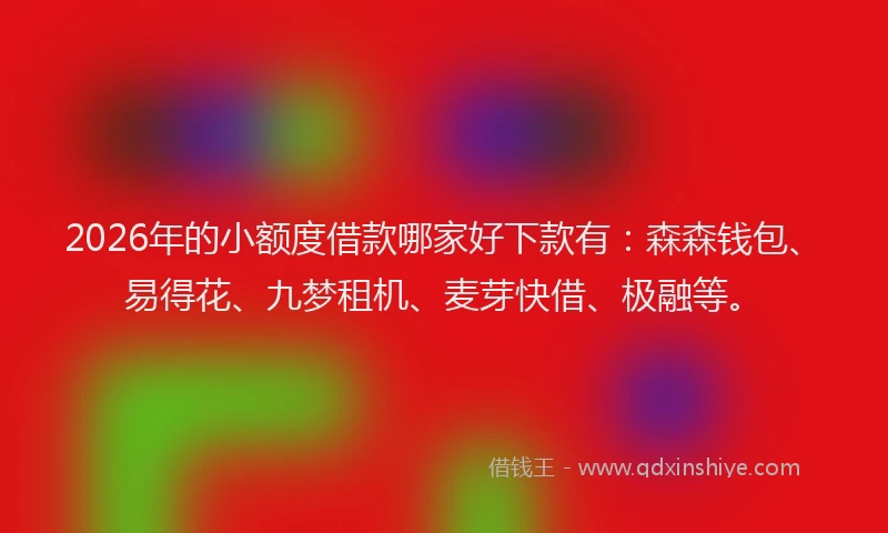 2026年的小额度借款哪家好下款有：森森钱包、易得花、九梦租机、麦芽快借、极融等。