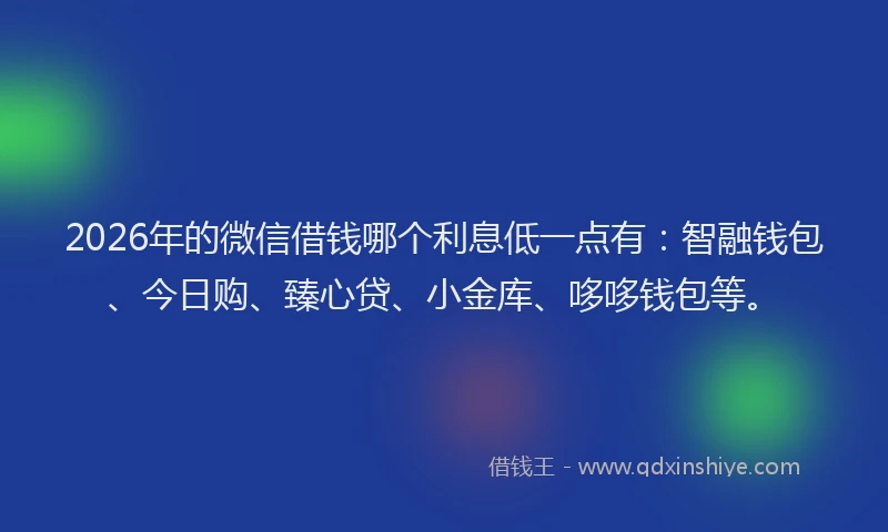 2026年的微信借钱哪个利息低一点有：智融钱包、今日购、臻心贷、小金库、哆哆钱包等。