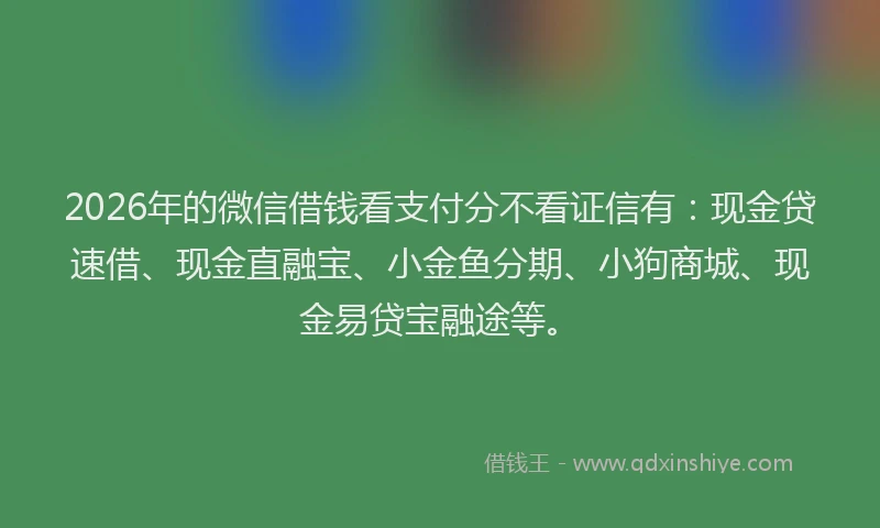 2026年的微信借钱看支付分不看证信有：现金贷速借、现金直融宝、小金鱼分期、小狗商城、现金易贷宝融途等。