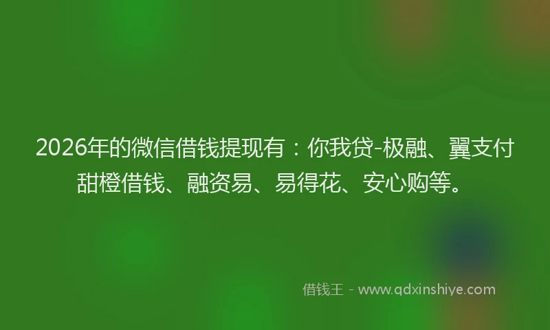 2026年的微信借钱提现有：你我贷-极融、翼支付甜橙借钱、融资易、易得花、安心购等。