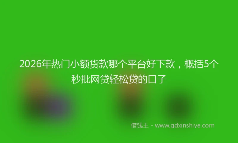 2026年热门小额货款哪个平台好下款，概括5个秒批网贷轻松贷的口子