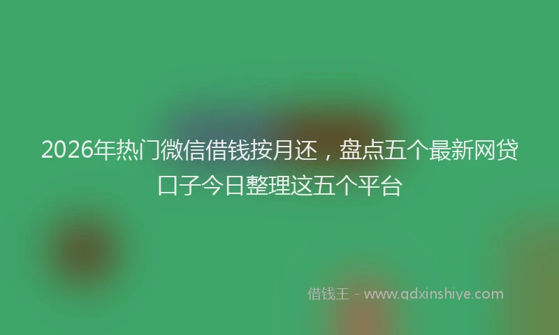 2026年热门微信借钱按月还，盘点五个最新网贷口子今日整理这五个平台