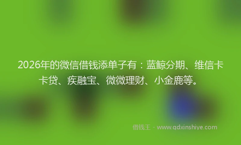 2026年的微信借钱添单子有：蓝鲸分期、维信卡卡贷、疾融宝、微微理财、小金鹿等。