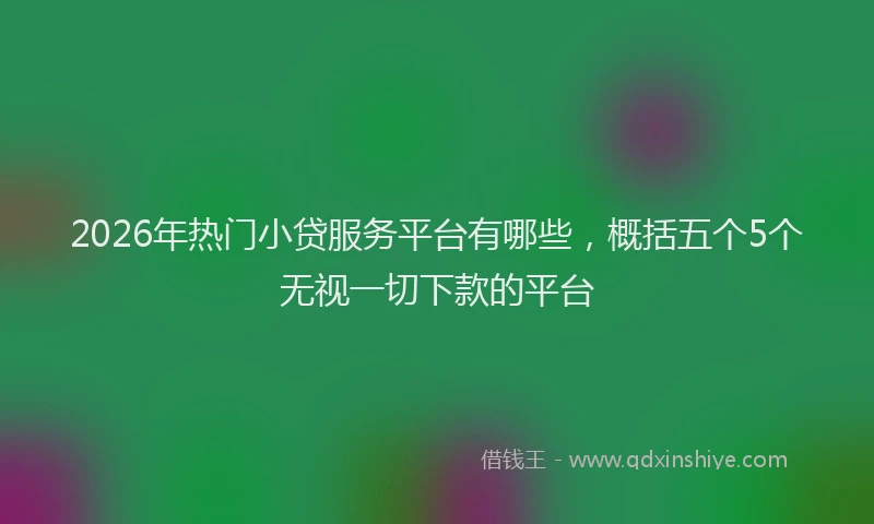 2026年热门小贷服务平台有哪些，概括五个5个无视一切下款的平台