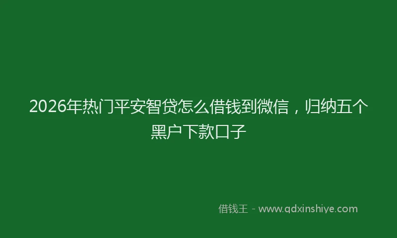 2026年热门平安智贷怎么借钱到微信，归纳五个黑户下款口子