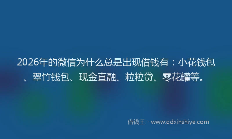 2026年的微信为什么总是出现借钱有：小花钱包、翠竹钱包、现金直融、粒粒贷、零花罐等。