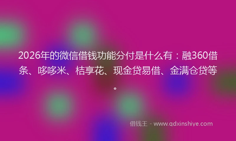 2026年的微信借钱功能分付是什么有：融360借条、哆哆米、桔享花、现金贷易借、金满仓贷等。