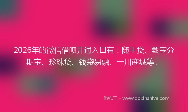 2026年的微信借呗开通入口有：随手贷、甄宝分期宝、珍珠贷、钱袋易融、一川商城等。