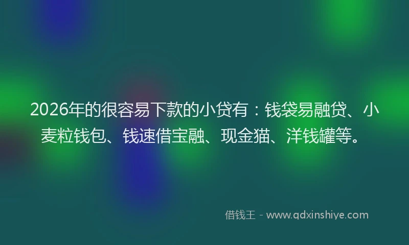 2026年的很容易下款的小贷有：钱袋易融贷、小麦粒钱包、钱速借宝融、现金猫、洋钱罐等。