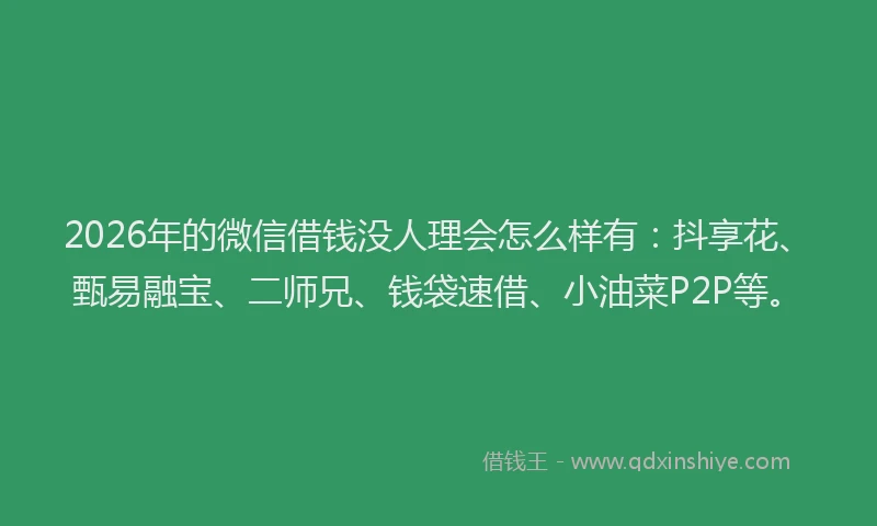 2026年的微信借钱没人理会怎么样有:抖享花、甄易融宝、二师兄、钱袋速借、小油菜P2P等。