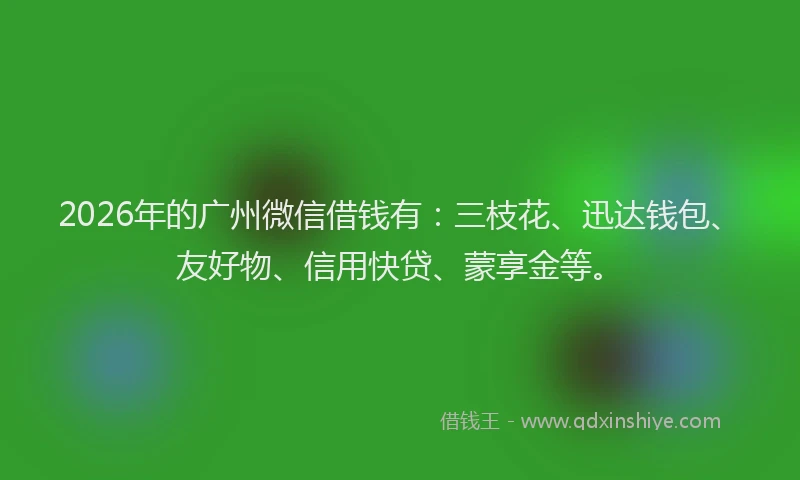 2026年的广州微信借钱有：三枝花、迅达钱包、友好物、信用快贷、蒙享金等。