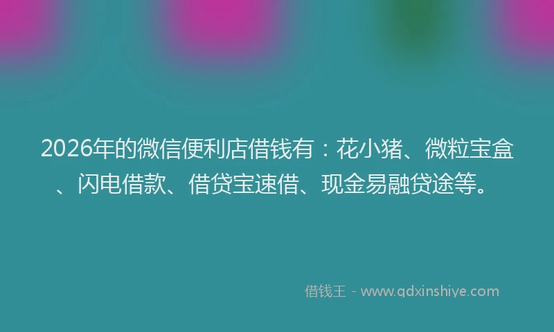 2026年的微信便利店借钱有:花小猪、微粒宝盒、闪电借款、借贷宝速借、现金易融贷途等。