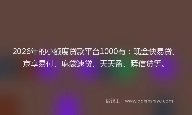 2026年的小额度贷款平台1000有：现金快易贷、京享易付、麻袋速贷、天天盈、瞬信贷等。