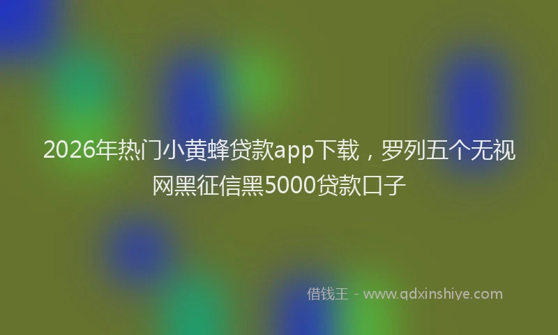 2026年热门小黄蜂贷款app下载，罗列五个无视网黑征信黑5000贷款口子