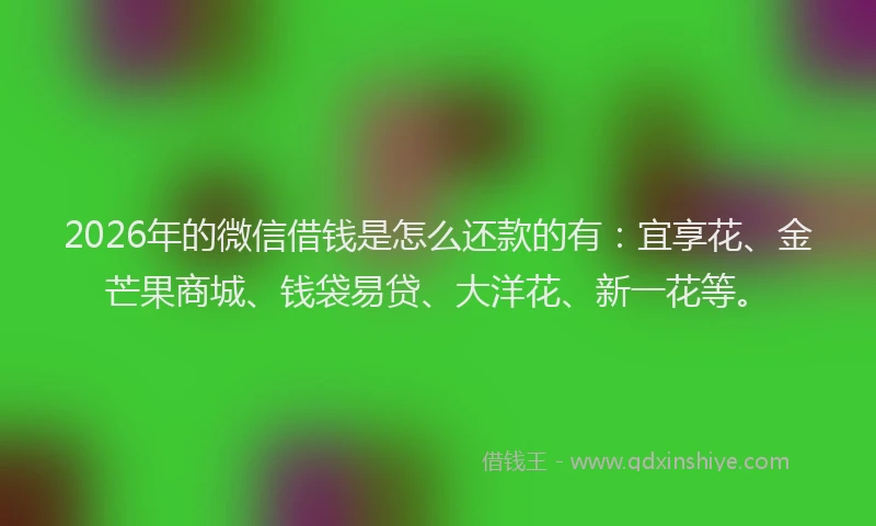 2026年的微信借钱是怎么还款的有：宜享花、金芒果商城、钱袋易贷、大洋花、新一花等。