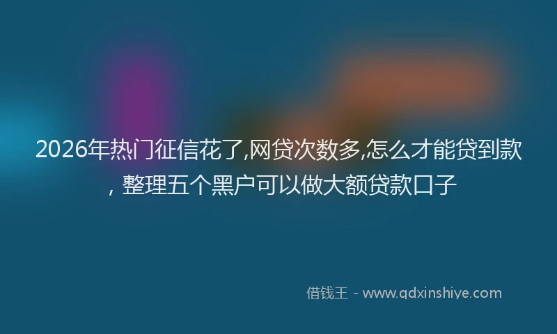 2026年热门征信花了,网贷次数多,怎么才能贷到款，整理五个黑户可以做大额贷款口子