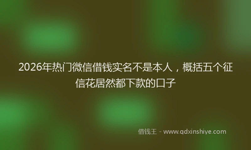 2026年热门微信借钱实名不是本人，概括五个征信花居然都下款的口子
