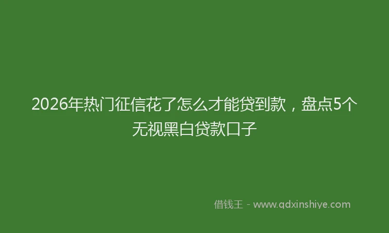 2026年热门征信花了怎么才能贷到款，盘点5个无视黑白贷款口子
