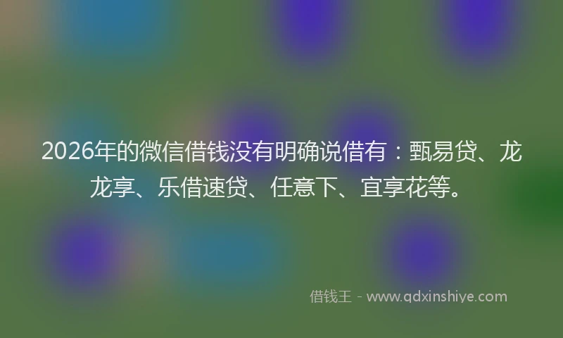 2026年的微信借钱没有明确说借有：甄易贷、龙龙享、乐借速贷、任意下、宜享花等。
