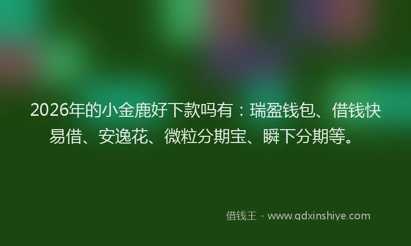 2026年的小金鹿好下款吗有：瑞盈钱包、借钱快易借、安逸花、微粒分期宝、瞬下分期等。