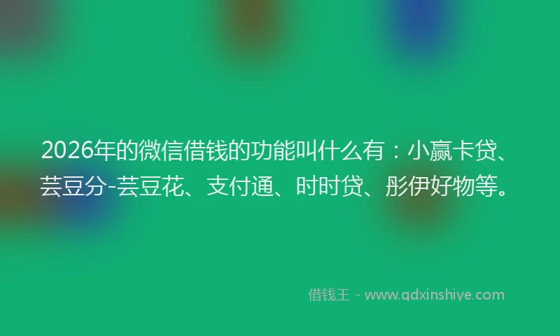 2026年的微信借钱的功能叫什么有：小赢卡贷、芸豆分-芸豆花、支付通、时时贷、彤伊好物等。