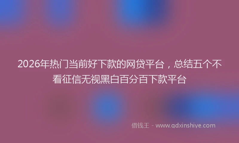 2026年热门当前好下款的网贷平台，总结五个不看征信无视黑白百分百下款平台