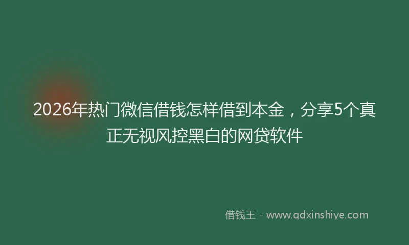 2026年热门微信借钱怎样借到本金，分享5个真正无视风控黑白的网贷软件