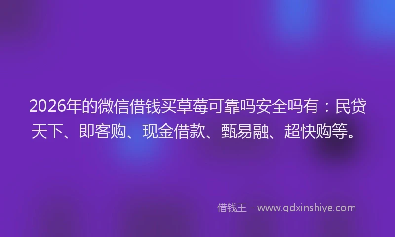 2026年的微信借钱买草莓可靠吗安全吗有：民贷天下、即客购、现金借款、甄易融、超快购等。