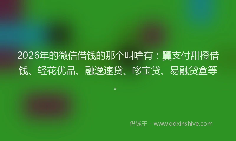 2026年的微信借钱的那个叫啥有：翼支付甜橙借钱、轻花优品、融逸速贷、哆宝贷、易融贷盒等。