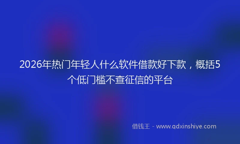 2026年热门年轻人什么软件借款好下款，概括5个低门槛不查征信的平台