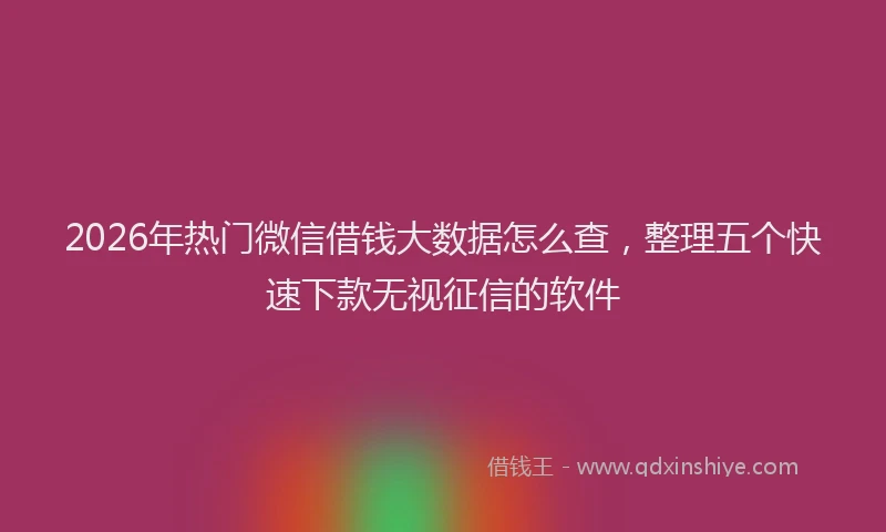 2026年热门微信借钱大数据怎么查，整理五个快速下款无视征信的软件