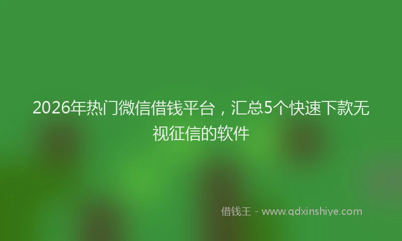 2026年热门微信借钱平台，汇总5个快速下款无视征信的软件