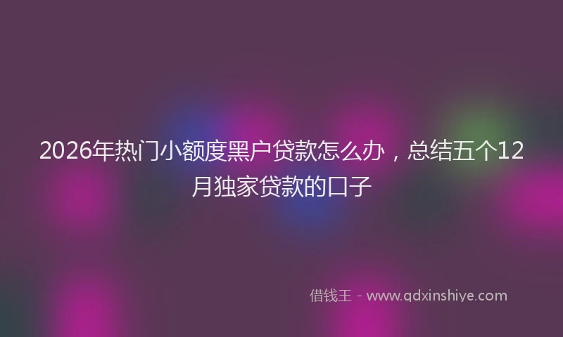 2026年热门小额度黑户贷款怎么办，总结五个12月独家贷款的口子