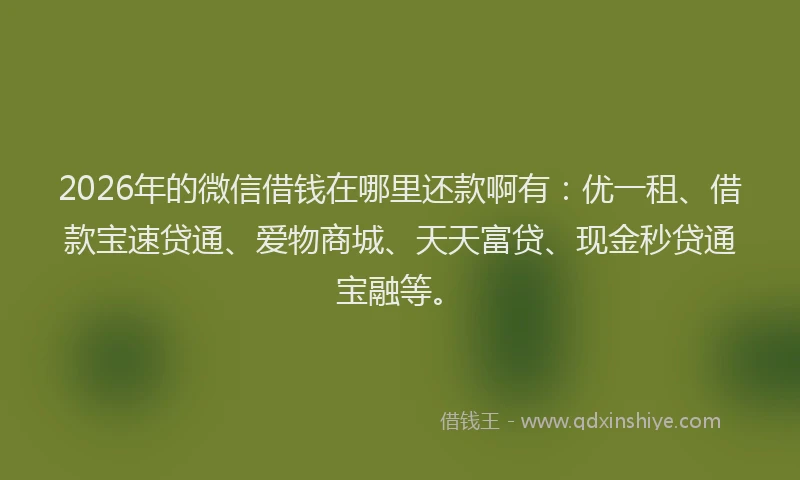 2026年的微信借钱在哪里还款啊有：优一租、借款宝速贷通、爱物商城、天天富贷、现金秒贷通宝融等。