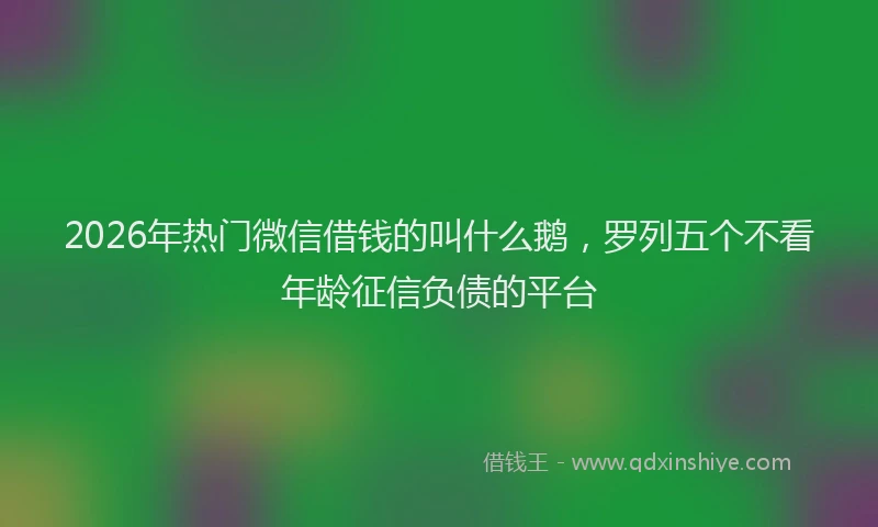2026年热门微信借钱的叫什么鹅，罗列五个不看年龄征信负债的平台
