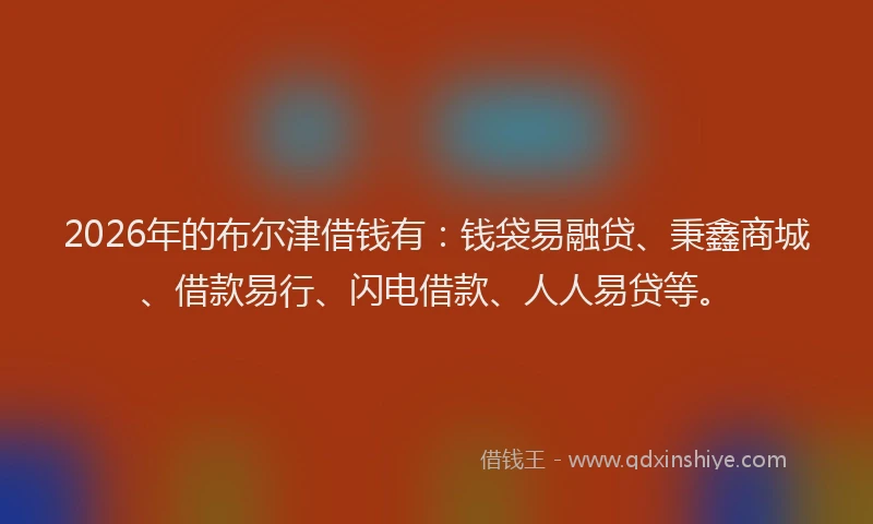 2026年的布尔津借钱有：钱袋易融贷、秉鑫商城、借款易行、闪电借款、人人易贷等。