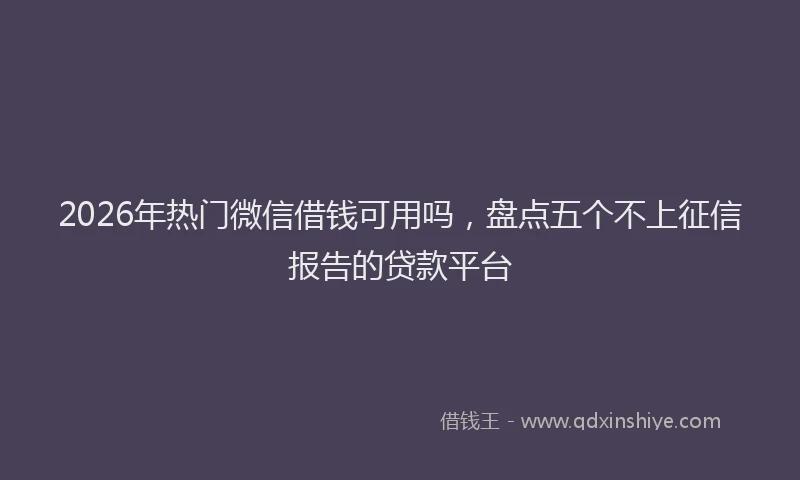 2026年热门微信借钱可用吗，盘点五个不上征信报告的贷款平台