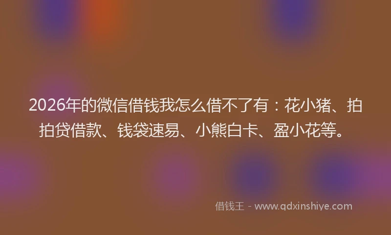 2026年的微信借钱我怎么借不了有：花小猪、拍拍贷借款、钱袋速易、小熊白卡、盈小花等。
