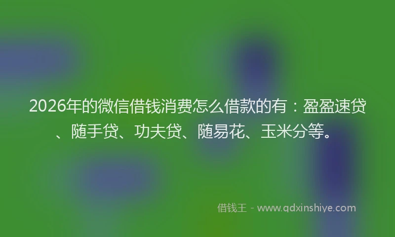 2026年的微信借钱消费怎么借款的有：盈盈速贷、随手贷、功夫贷、随易花、玉米分等。