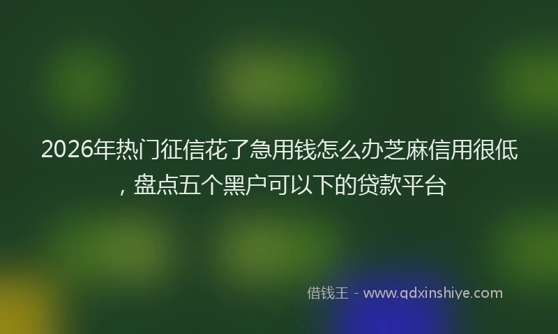 2026年热门征信花了急用钱怎么办芝麻信用很低，盘点五个黑户可以下的贷款平台