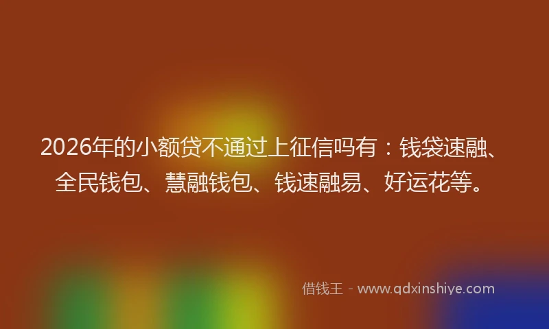 2026年的小额贷不通过上征信吗有：钱袋速融、全民钱包、慧融钱包、钱速融易、好运花等。