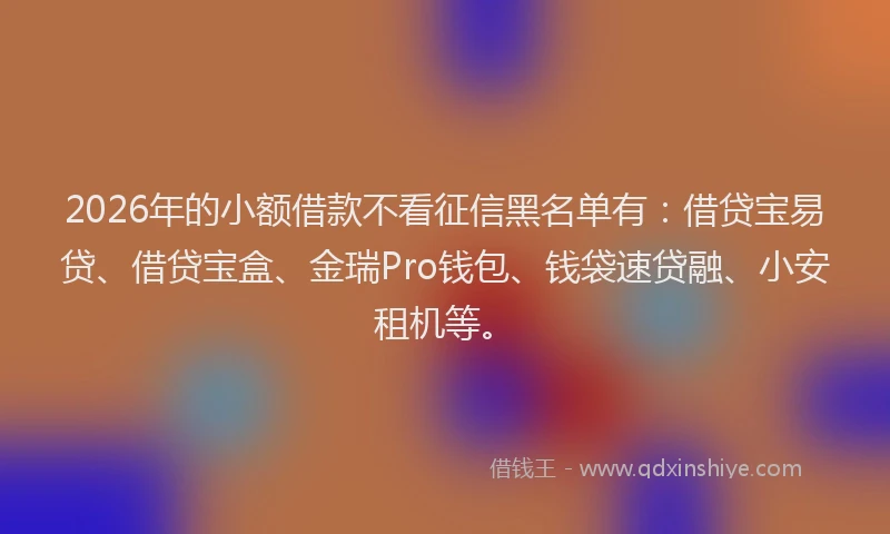 2026年的小额借款不看征信黑名单有：借贷宝易贷、借贷宝盒、金瑞Pro钱包、钱袋速贷融、小安租机等。