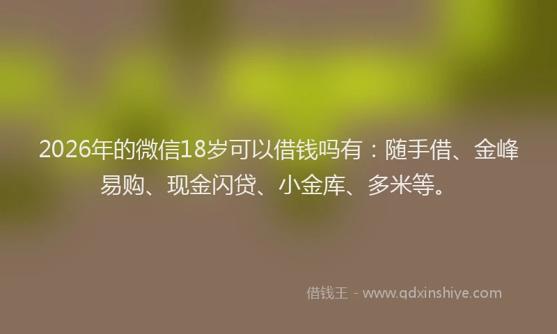 2026年的微信18岁可以借钱吗有：随手借、金峰易购、现金闪贷、小金库、多米等。