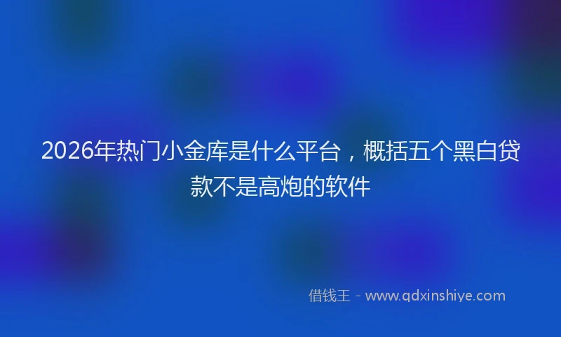 2026年热门小金库是什么平台，概括五个黑白贷款不是高炮的软件
