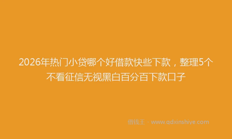 2026年热门小贷哪个好借款快些下款，整理5个不看征信无视黑白百分百下款口子