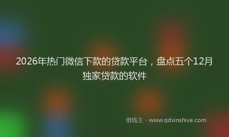 2026年热门微信下款的贷款平台，盘点五个12月独家贷款的软件